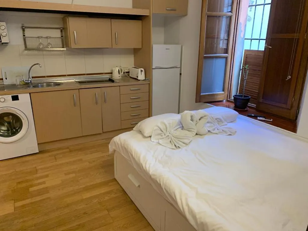 Centro Teatro Cervantes Apartment Malaga